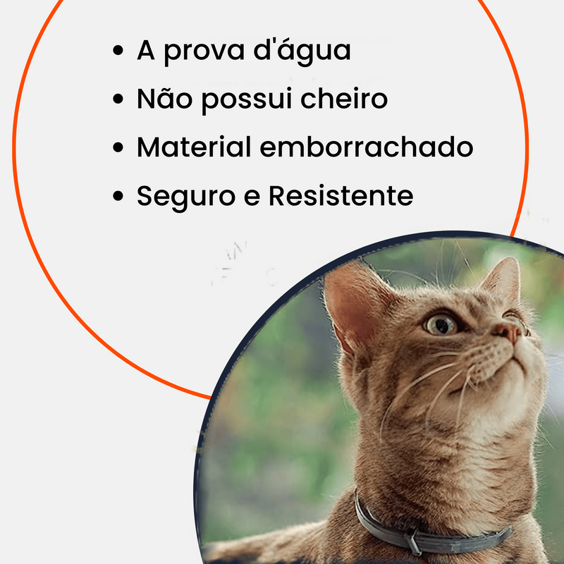 Coleira Ajustável para Cães e Gatos 70cm - Várias Cores