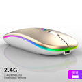 Mouse Wireless Ergonômico Recarregável RGB Mudo