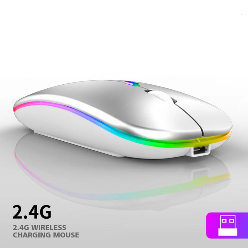 Mouse Wireless Ergonômico Recarregável RGB Mudo