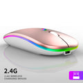 Mouse Wireless Ergonômico Recarregável RGB Mudo